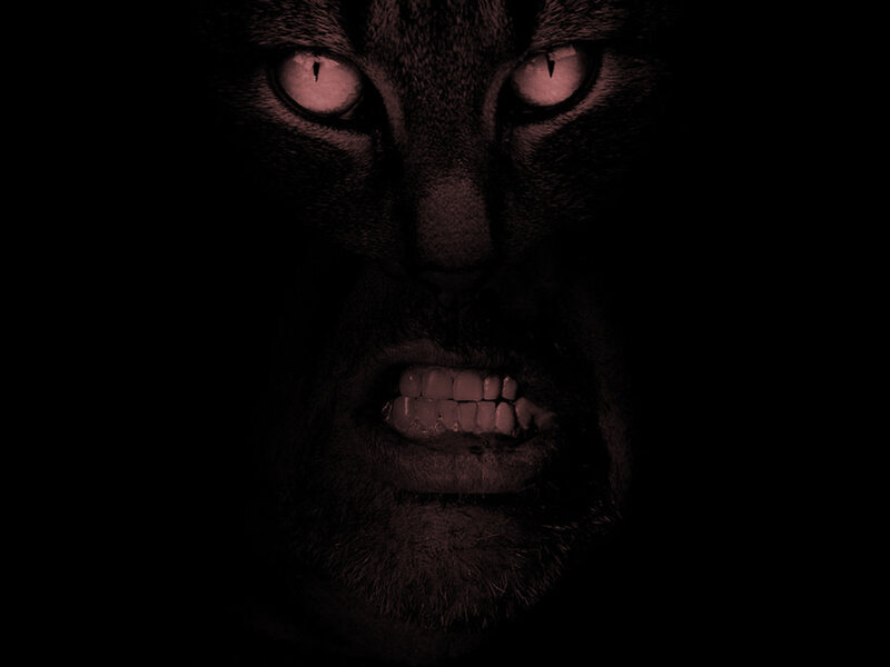 Cat-human Hybrid Face