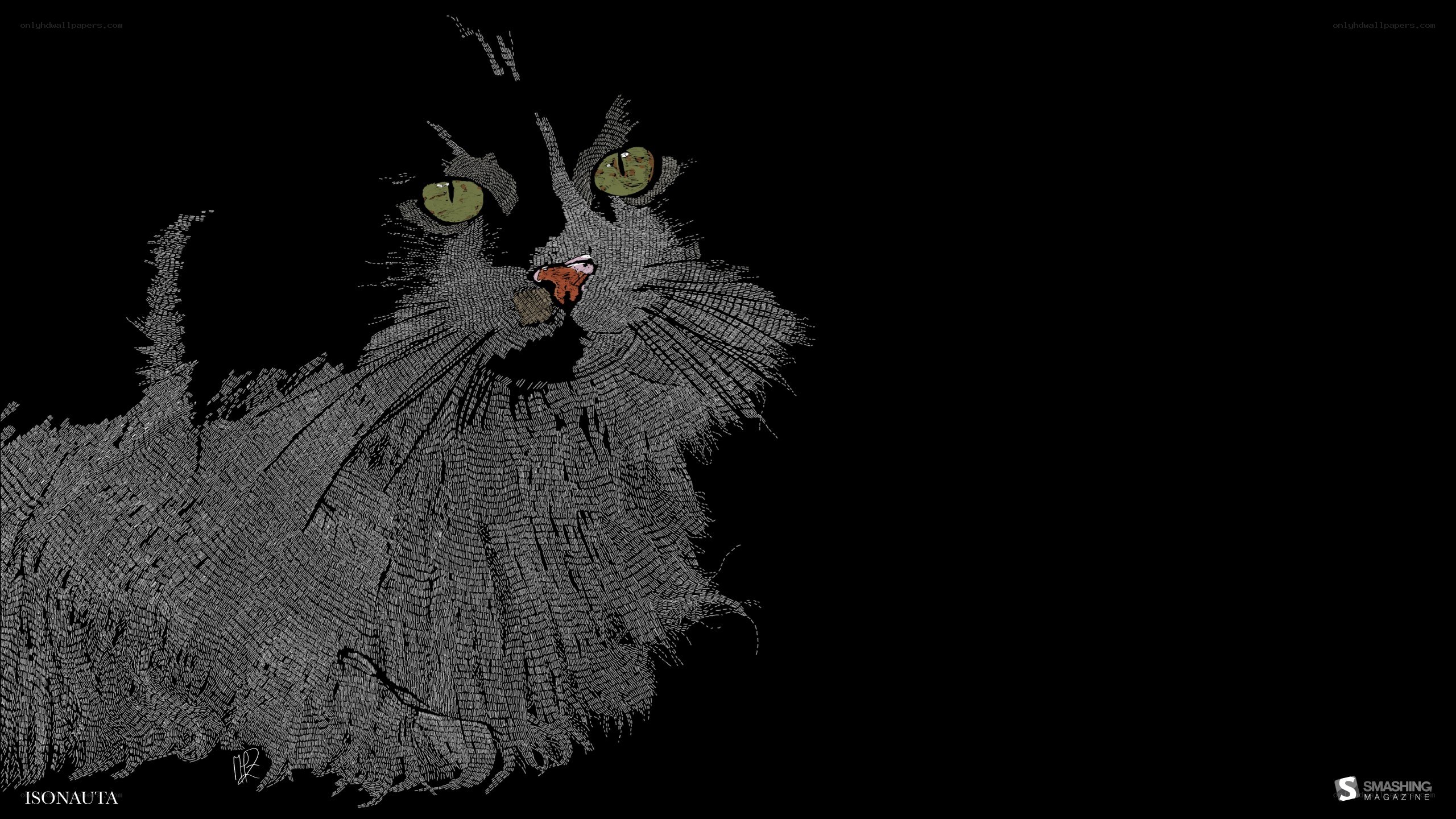 cat illustration with text art