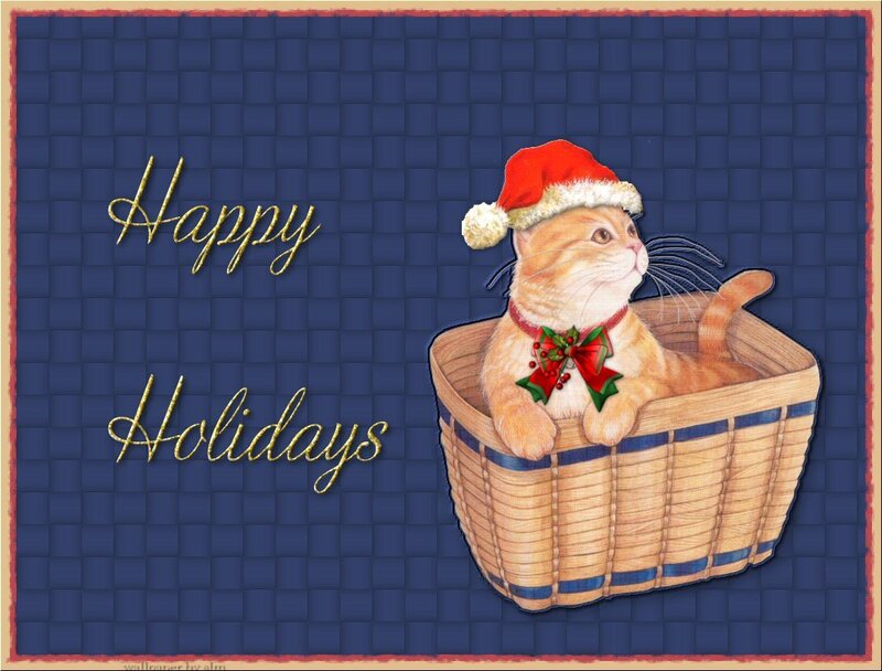Cat in a Basket — Blue