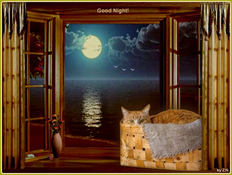 Cat in a Basket — Brown
