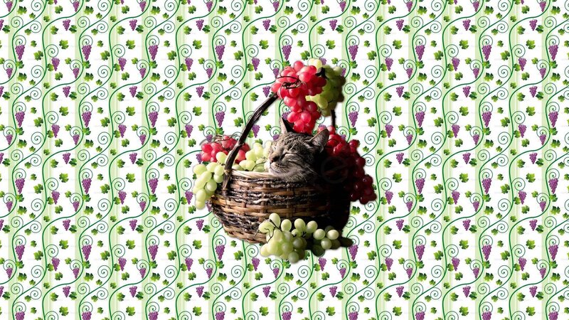 Cat in a Basket — Green
