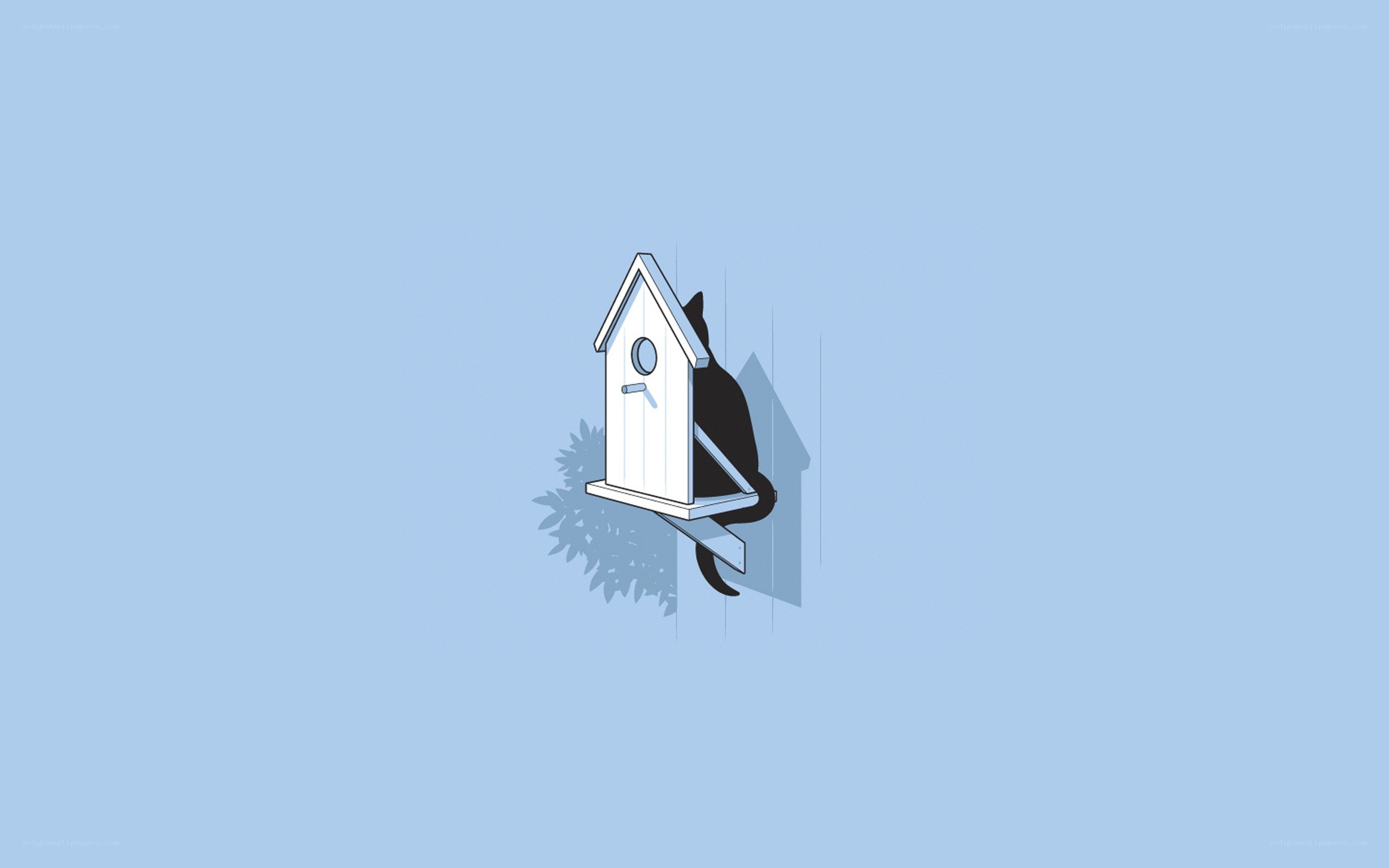 cat in a birdhouse
