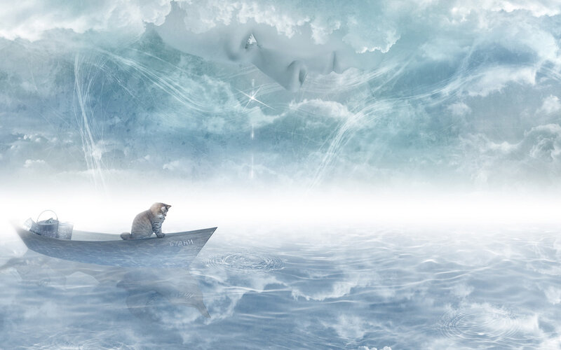 Cat in a Boat