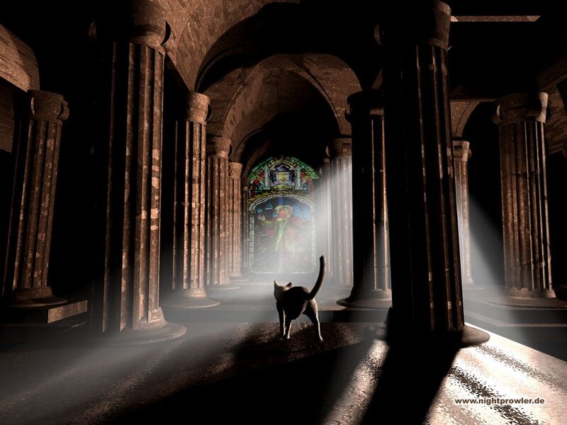 Cat in a Cathedral — Brown