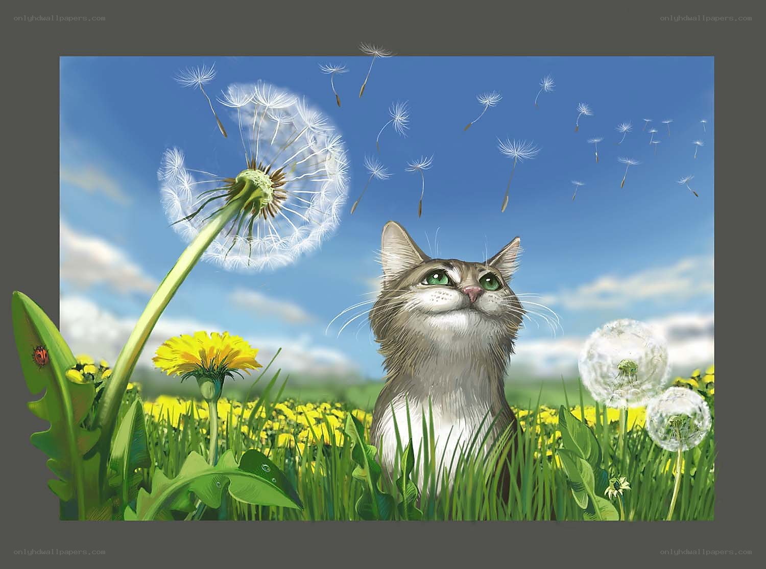 Cat in a dandelion field