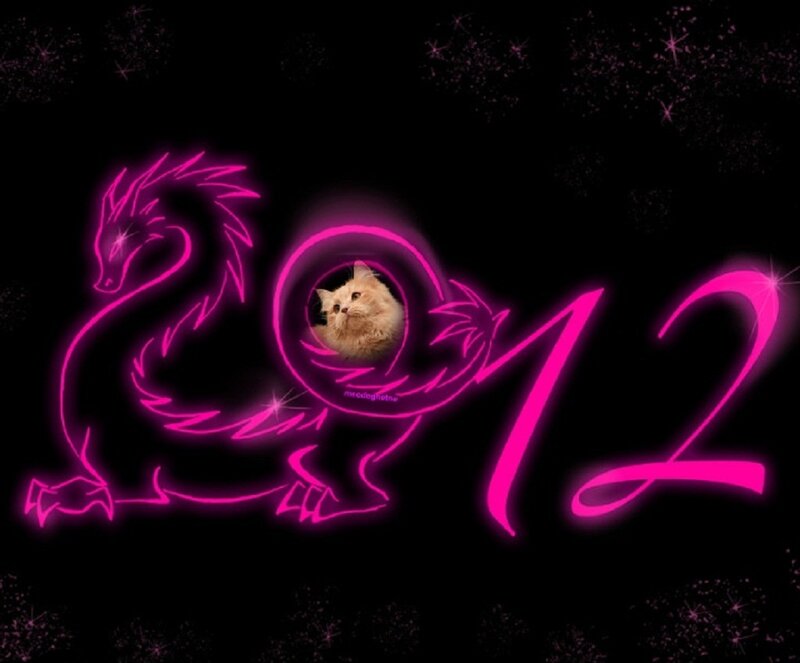 Cat in a Dragon Design