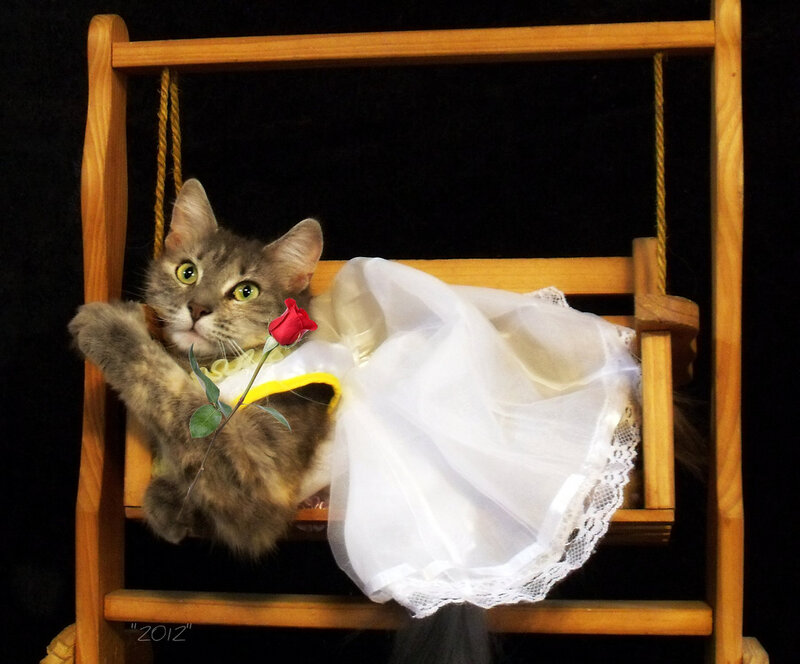 Cat in a Dress — Brown