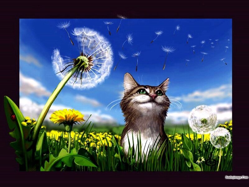 Cat in a Field — Green