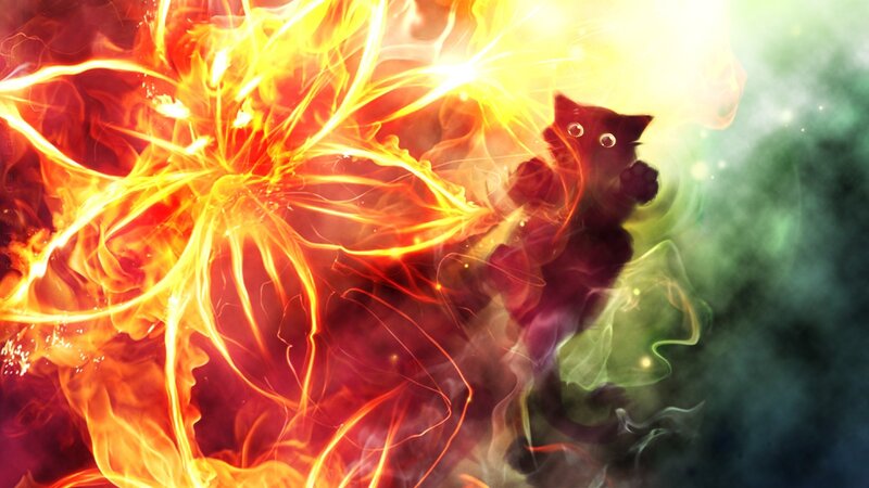 cat in a firestorm