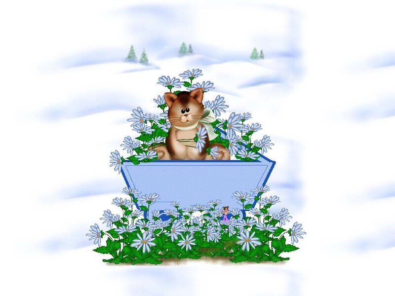 cat in a flower-filled cart