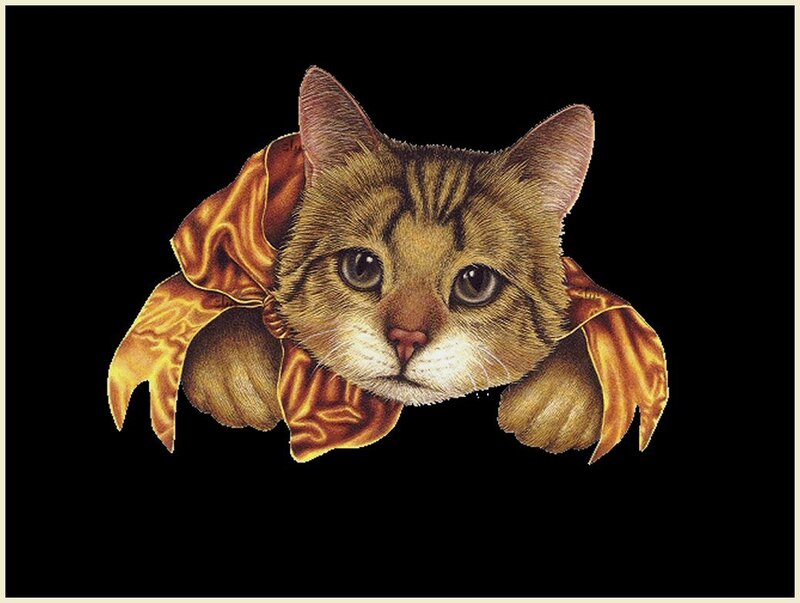 cat in a golden cloak