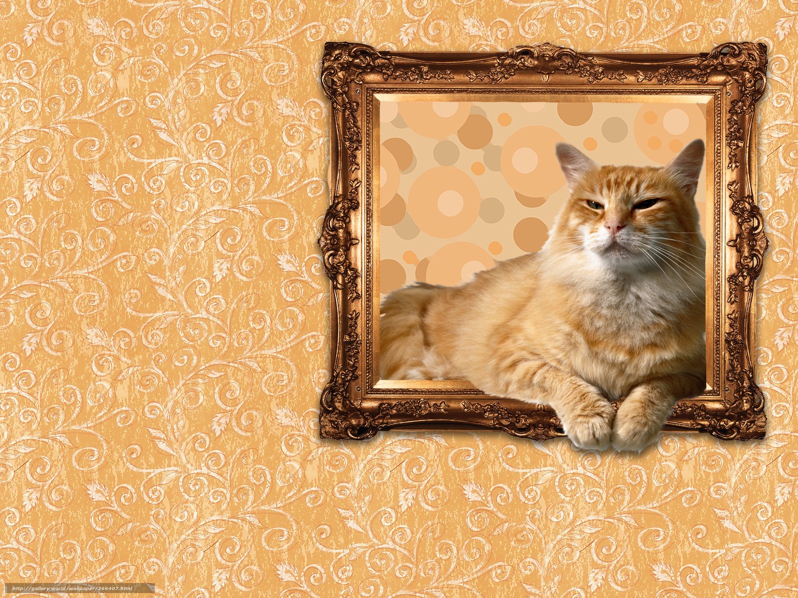 Cat in a golden frame