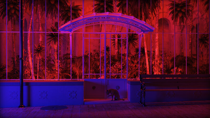 Cat in a Greenhouse