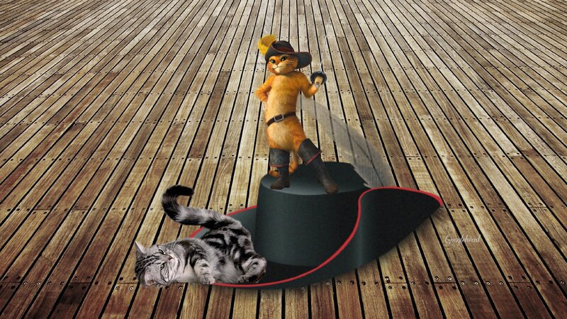 Cat in a Hat — Brown