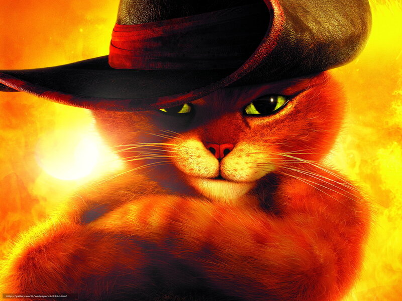 Cat in a Hat — Orange