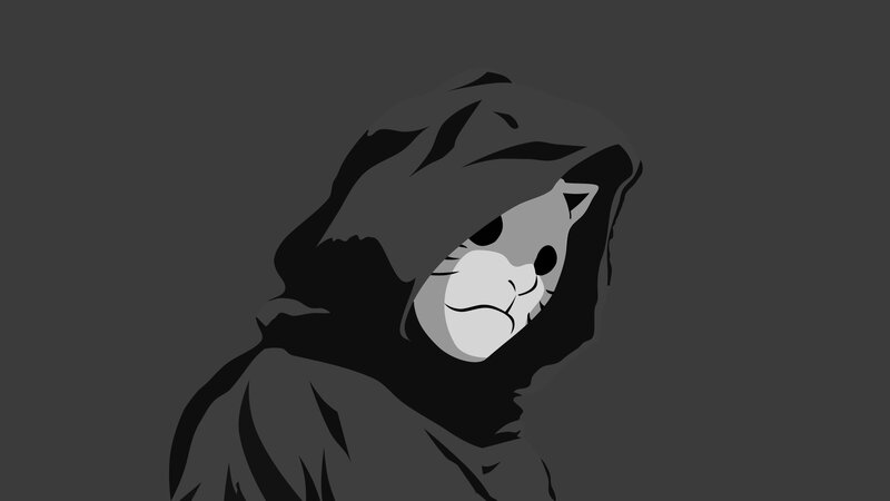 Cat in a Hooded Cloak