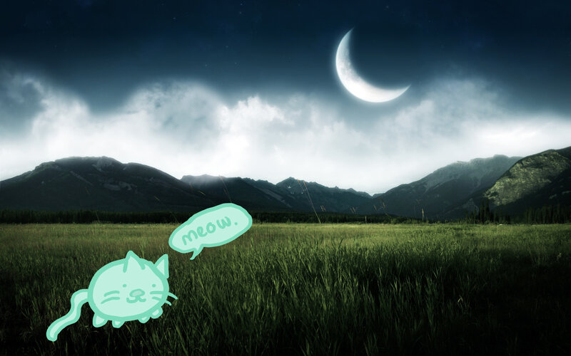 Cat in a moonlit field