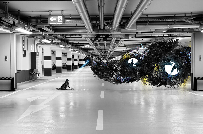 Cat in a parking garage