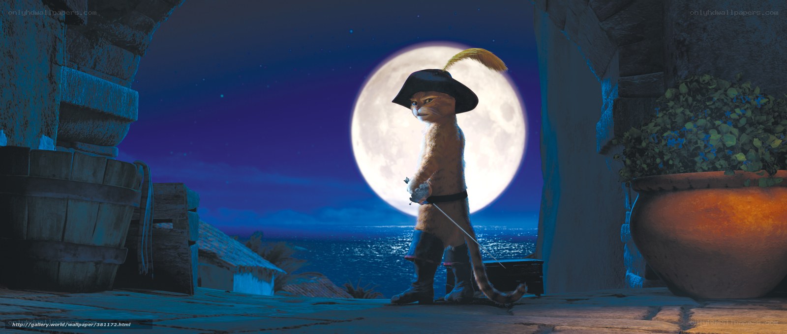 Cat in a pirate hat on a rooftop