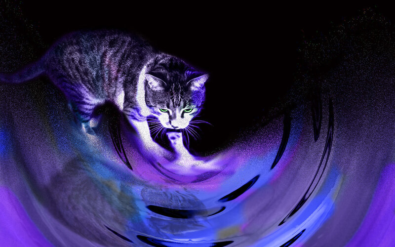 cat in a purple vortex
