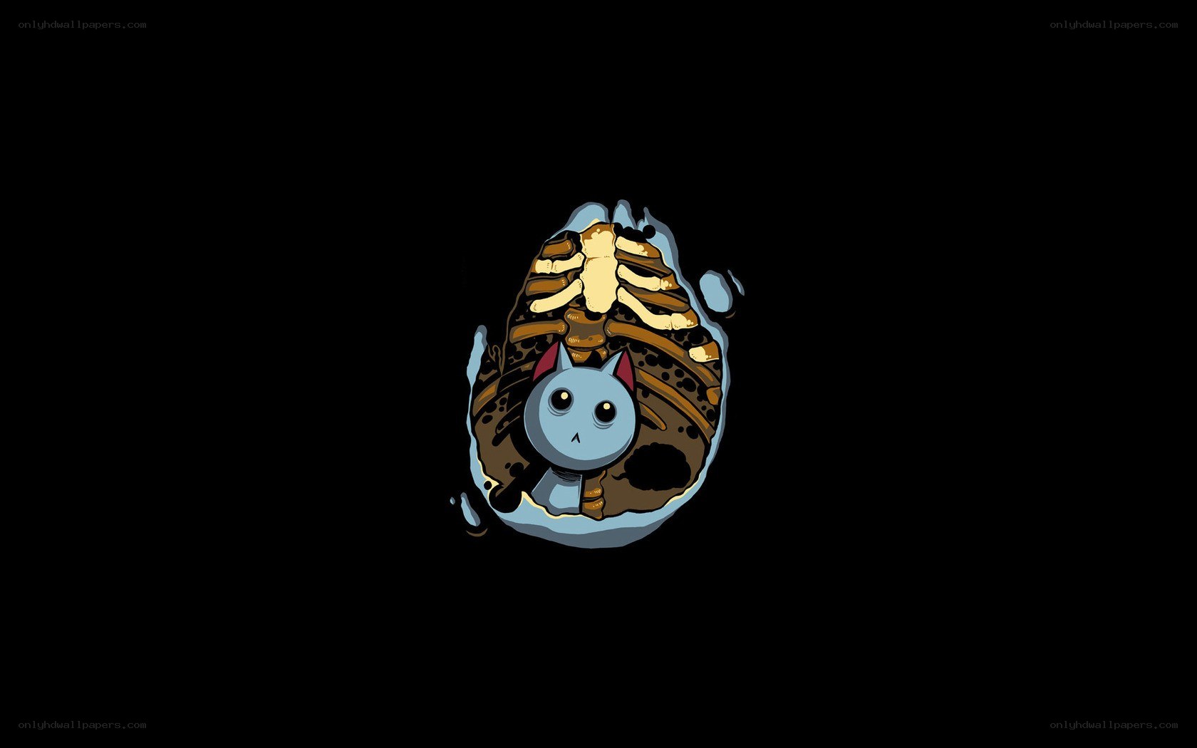 cat in a ribcage