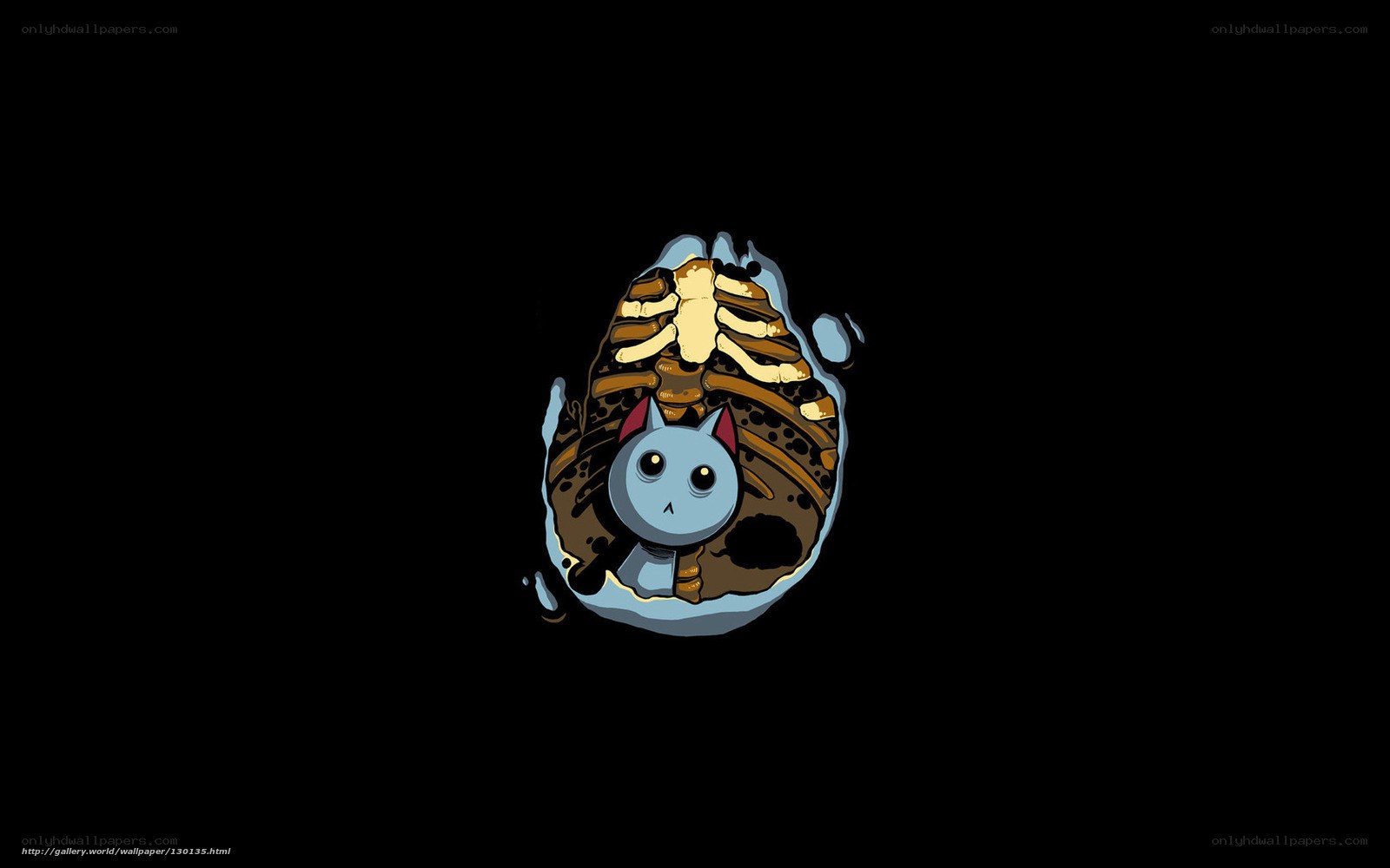 cat in a skeleton chest