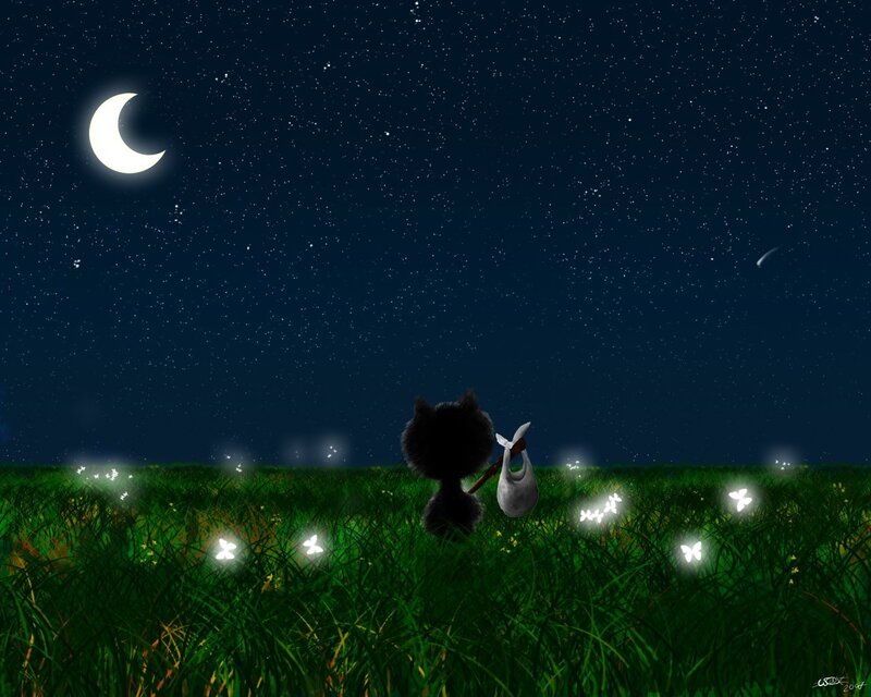Cat in a starry field
