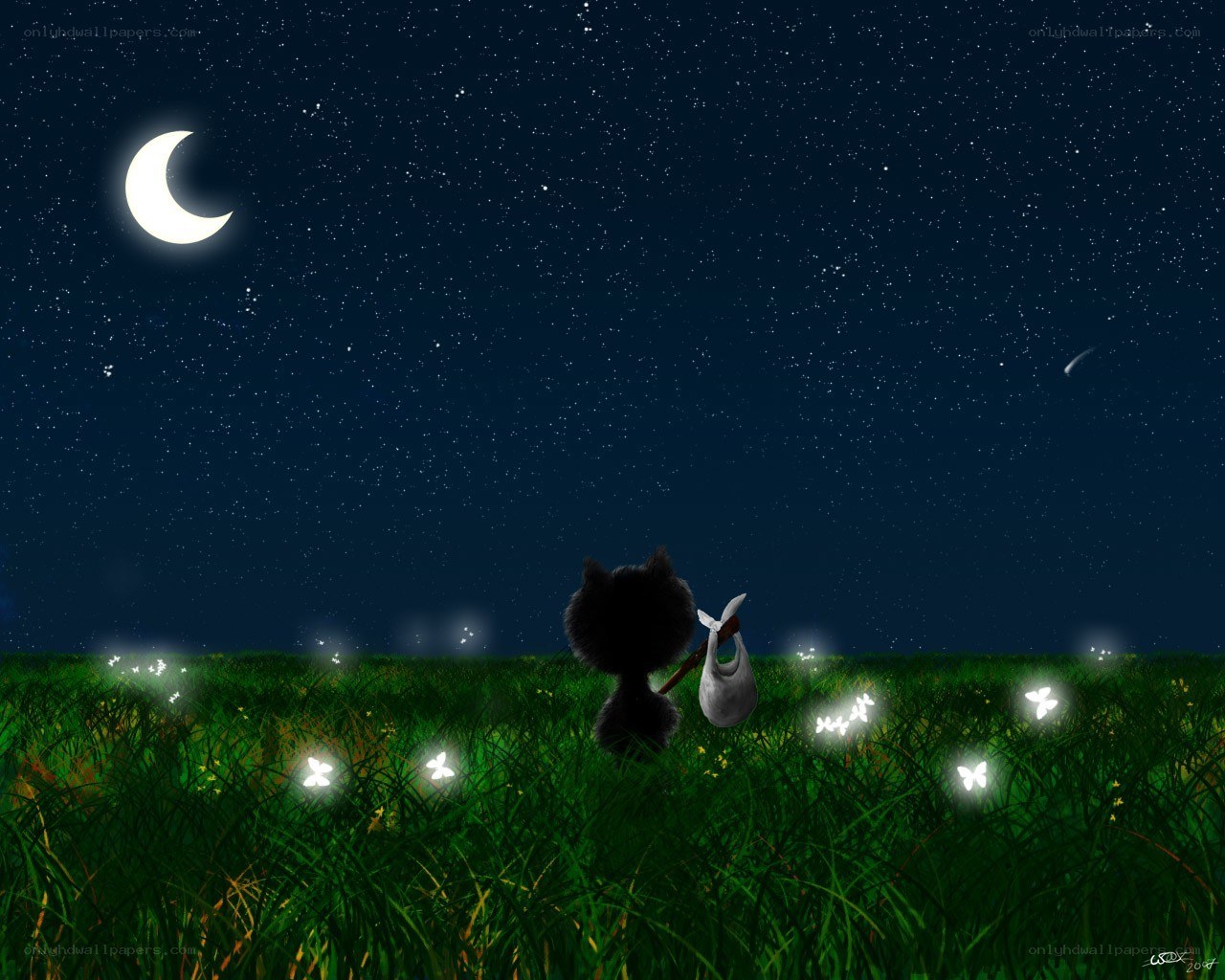 Cat in a starry field