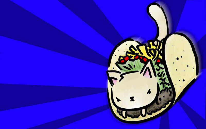 cat in a taco