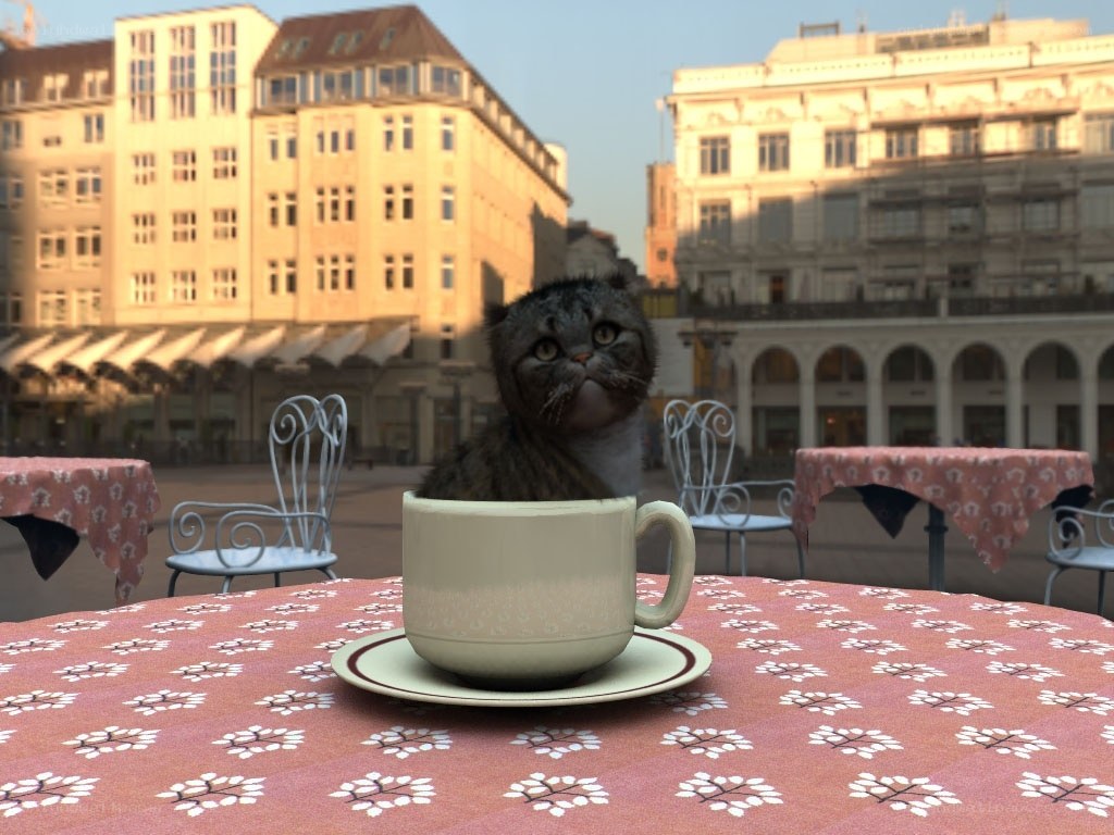 cat in a teacup