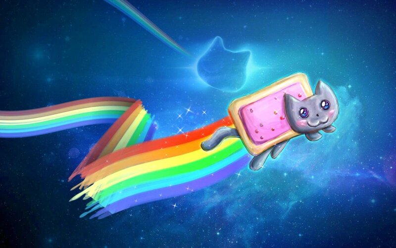 Cat in a Toaster Pastry