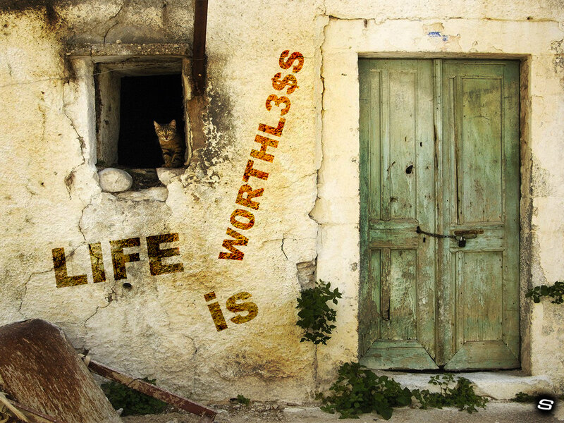 Cat in a weathered doorway