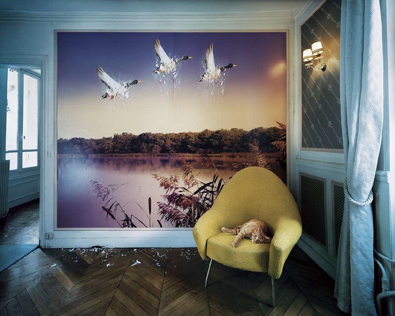Cat in a yellow chair by a mural