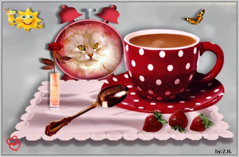 Cat in Alarm Clock