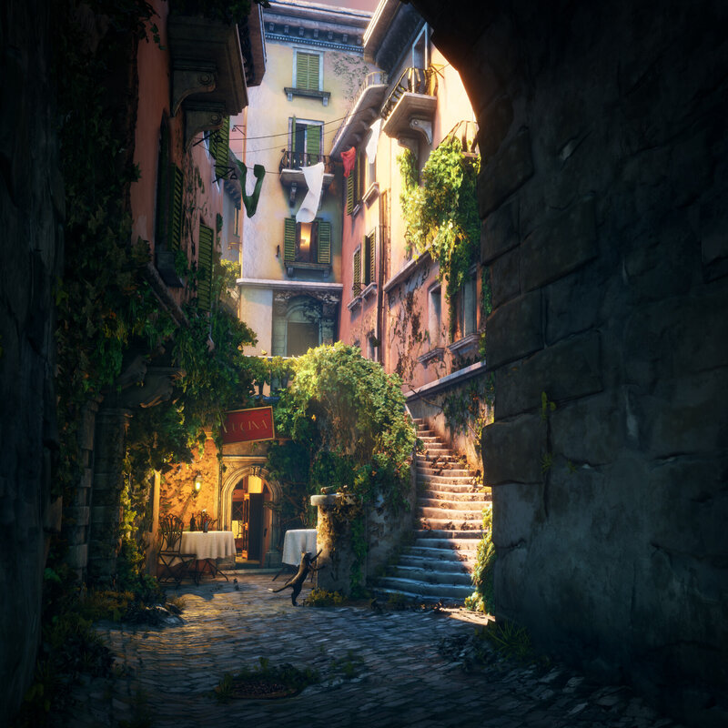 Cat in Alleyway — Brown