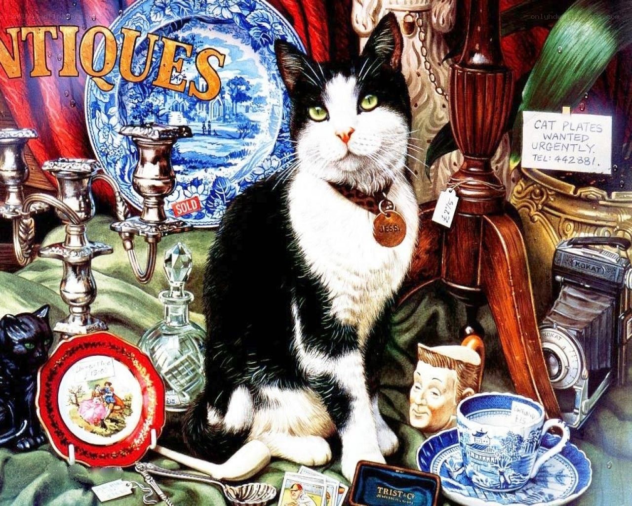 Cat in an antique shop
