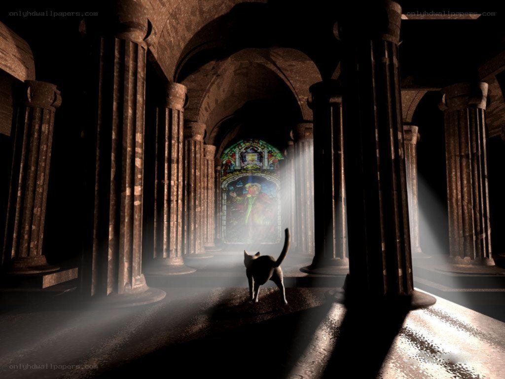 cat in ancient hall