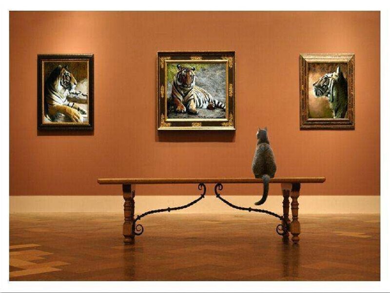 Cat in Art Gallery
