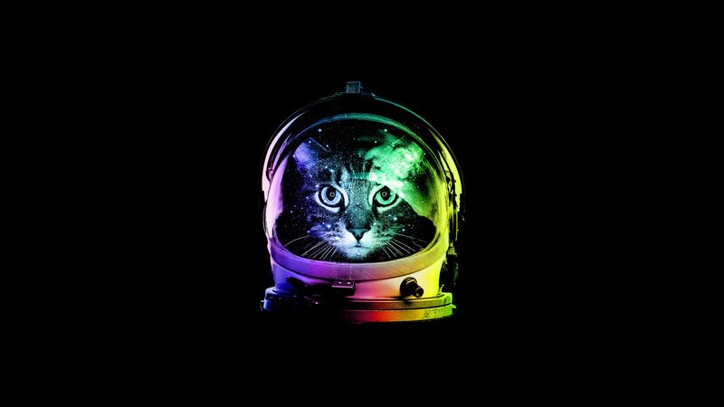 Cat in Astronaut Helmet — Black