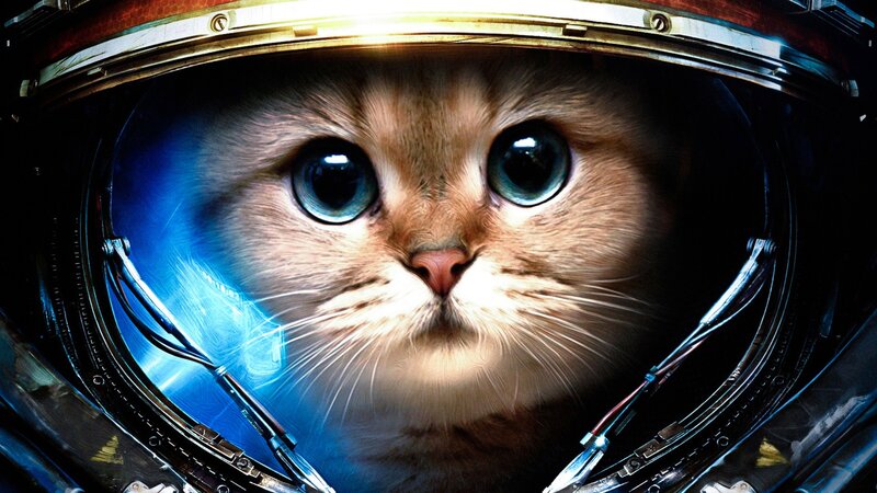 Cat in Astronaut Helmet — Brown