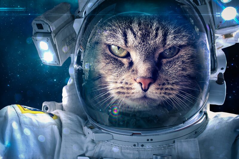 Cat in Astronaut Suit — Blue, Dramatic