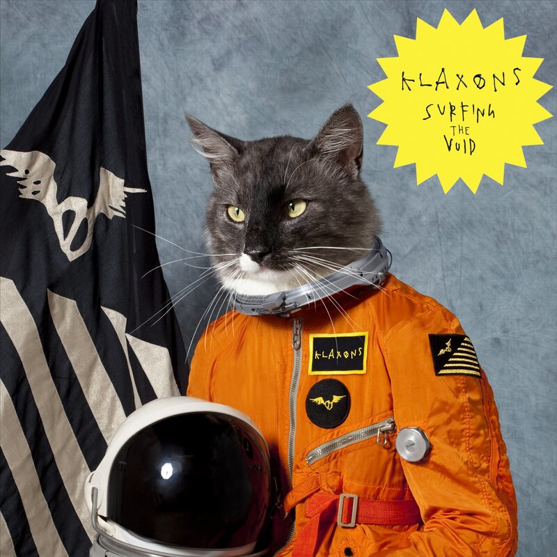 cat in astronaut suit