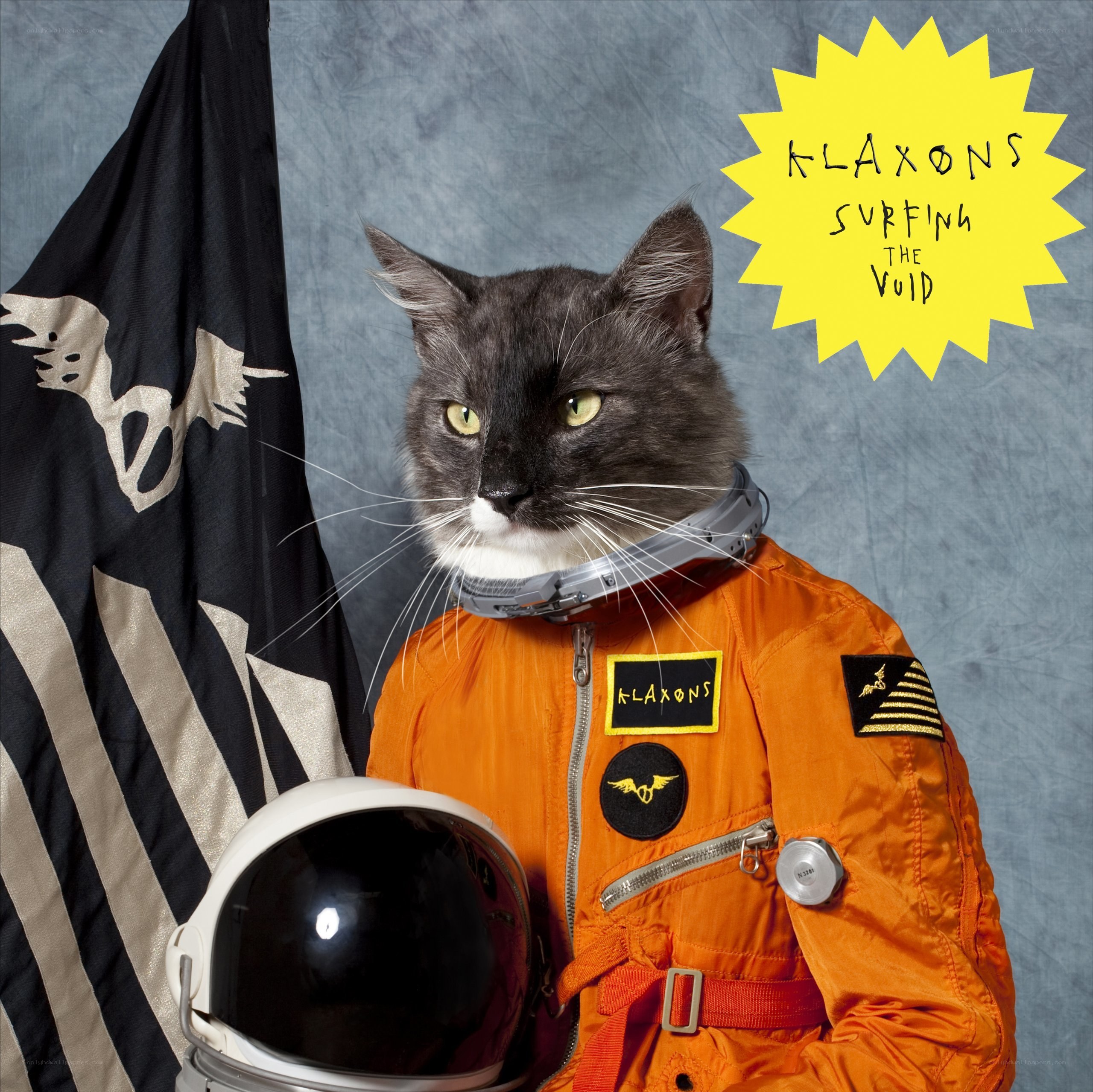 cat in astronaut suit