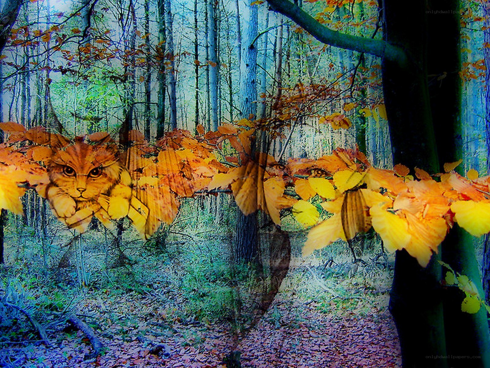 Cat in autumn forest