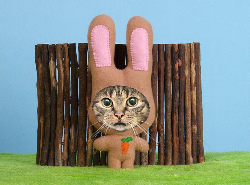 Cat in Bunny Costume