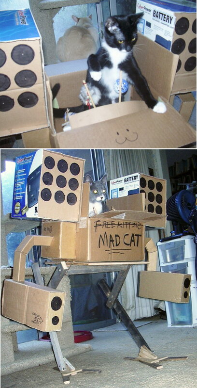 cat in cardboard robot