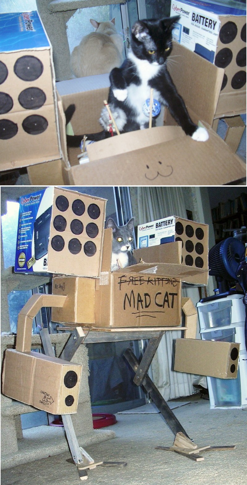 cat in cardboard robot