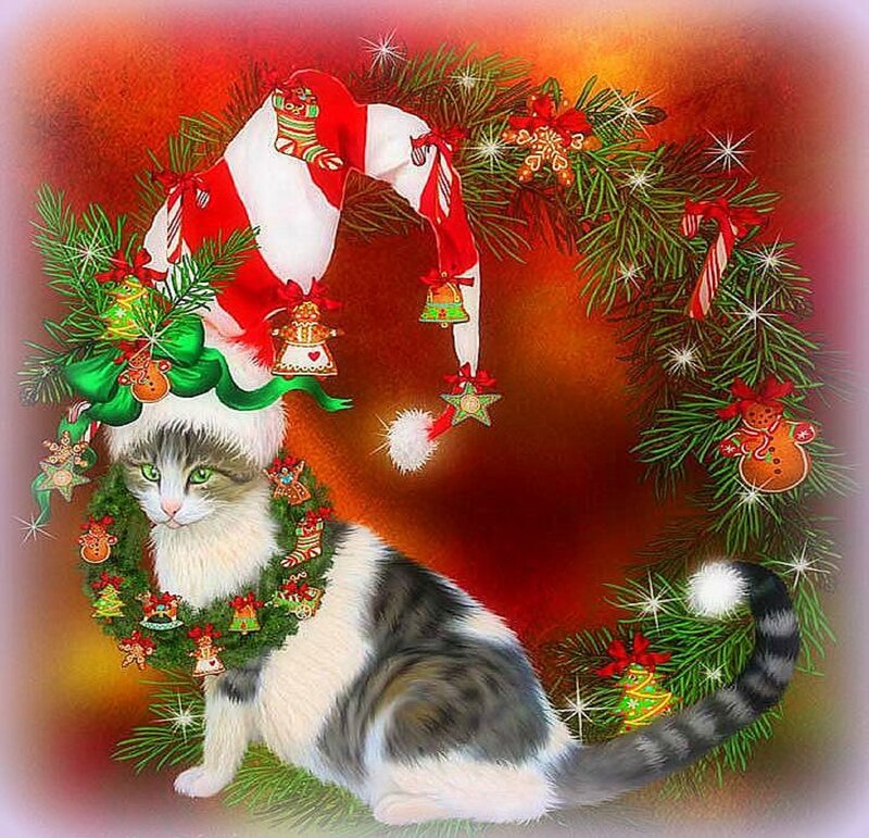 Cat in Christmas Wreath