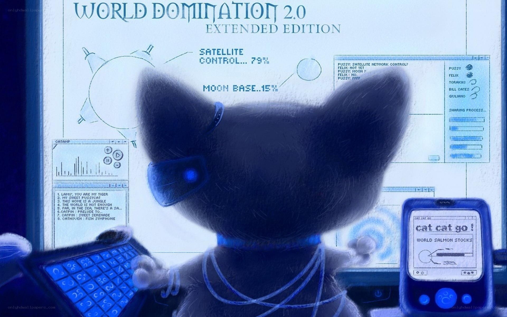 cat in control room