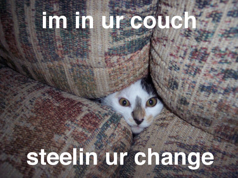 Cat in Couch